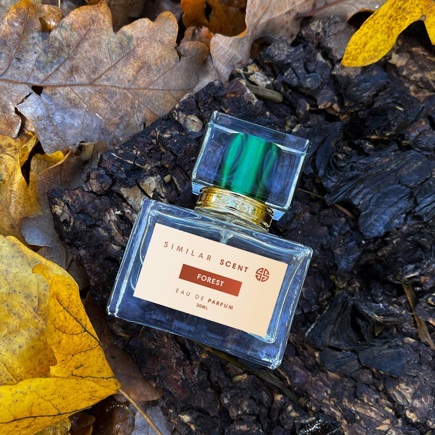 FOREST goedkope parfum | Similar Scent